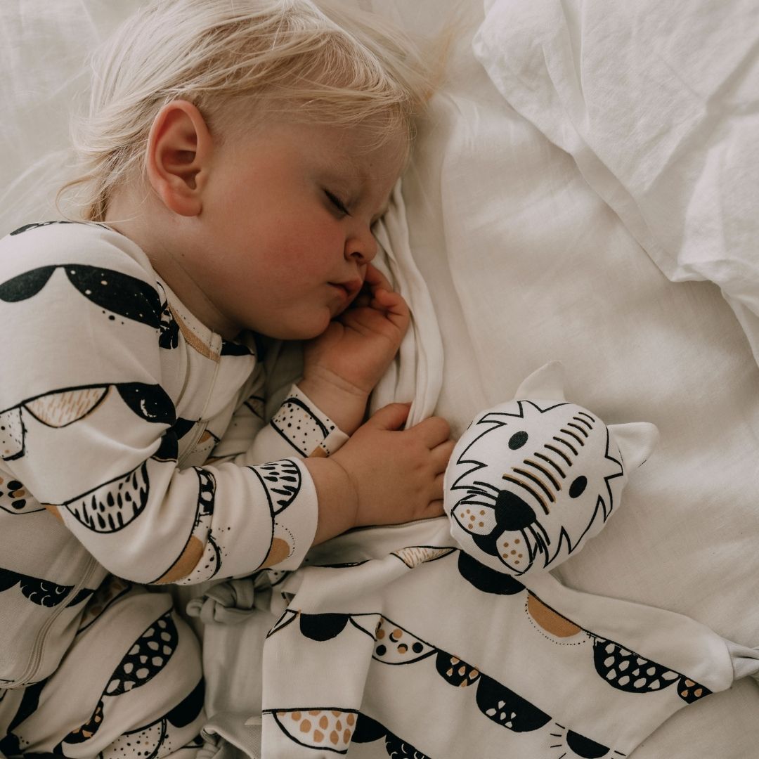 How to Introduce a Comforter: A Simple step for calm nights