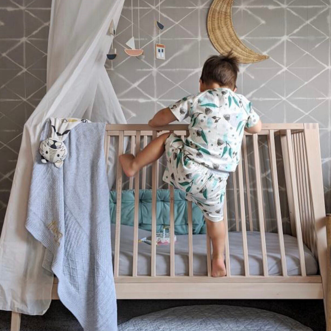 Banjo Organic Cotton Short PJam