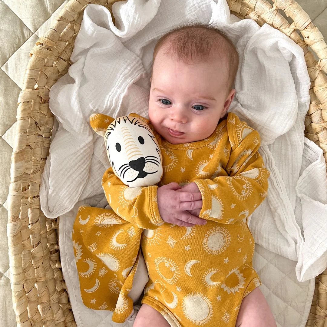 Kippins Dash organic cotton baby comforter, cuddle blankie with soft fabric and cute design, ideal for infants' comfort and soothing.