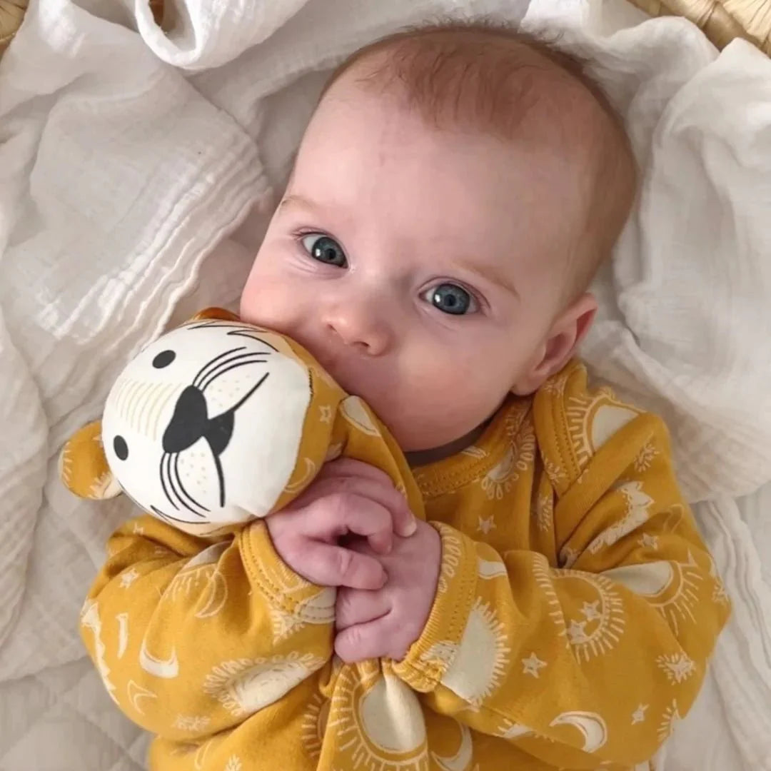 Kippins Dash organic cotton baby comforter cuddle blankie with soft texture and colorful design, perfect for infants.
