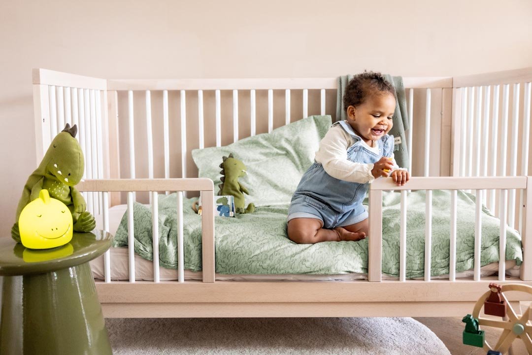 Night light - Mr. Dino - Kollektive - Official distributor