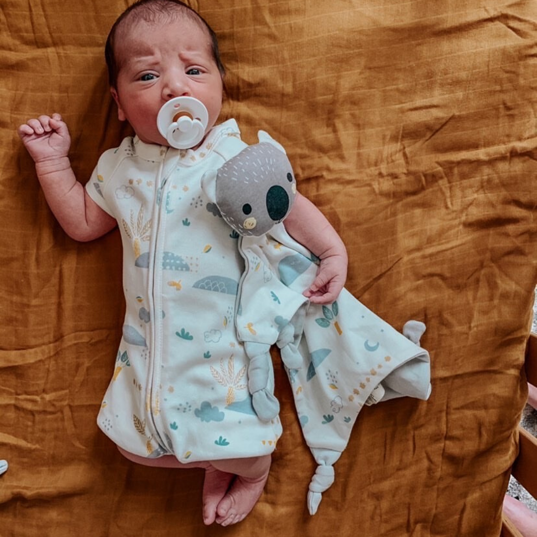 Dusty Kippin Organic Cotton Baby Comforter (1725231726627)